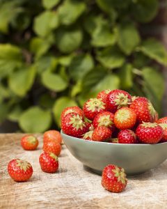 Aardbeien Vicky van Dijk