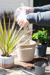 Vier de lente met Plant Rebelz!