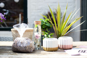 Vier de lente met Plant Rebelz!