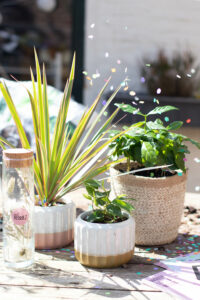 Vier de lente met Plant Rebelz!