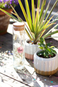Vier de lente met Plant Rebelz!